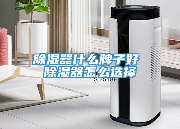 除湿器什么牌子好 除湿器怎么选择