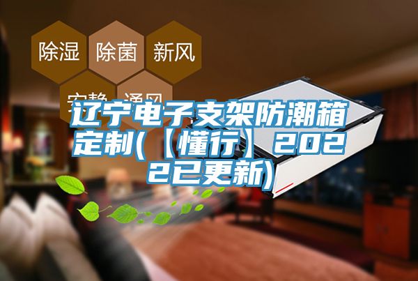 辽宁电子支架防潮箱定制(【懂行】2022已更新)