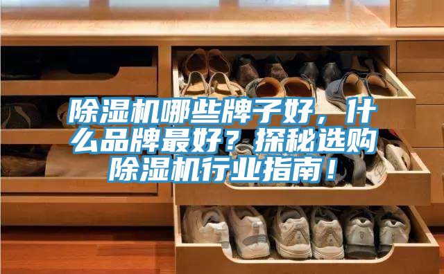 除湿机哪些牌子好，什么品牌最好？探秘选购除湿机行业指南！