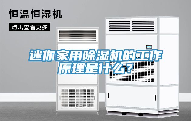 迷你家用除湿机的工作原理是什么？